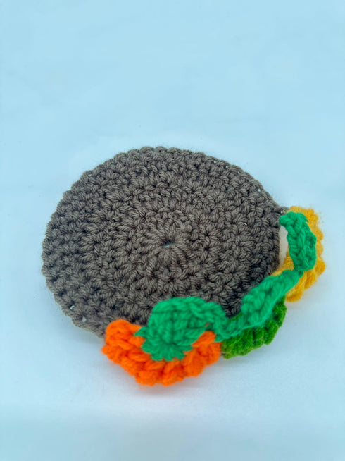 Crochet coaster Series and Pumpkins