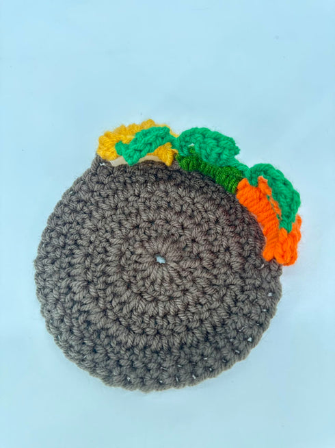 Crochet coaster Series and Pumpkins