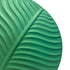 zoomed in to the right hand side of the dark green colored leaf pattern vase